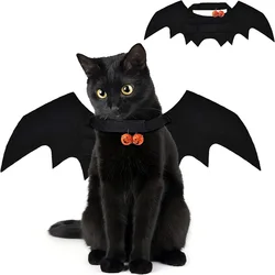 Disfraz de murciélago para gato – Alas divertidas