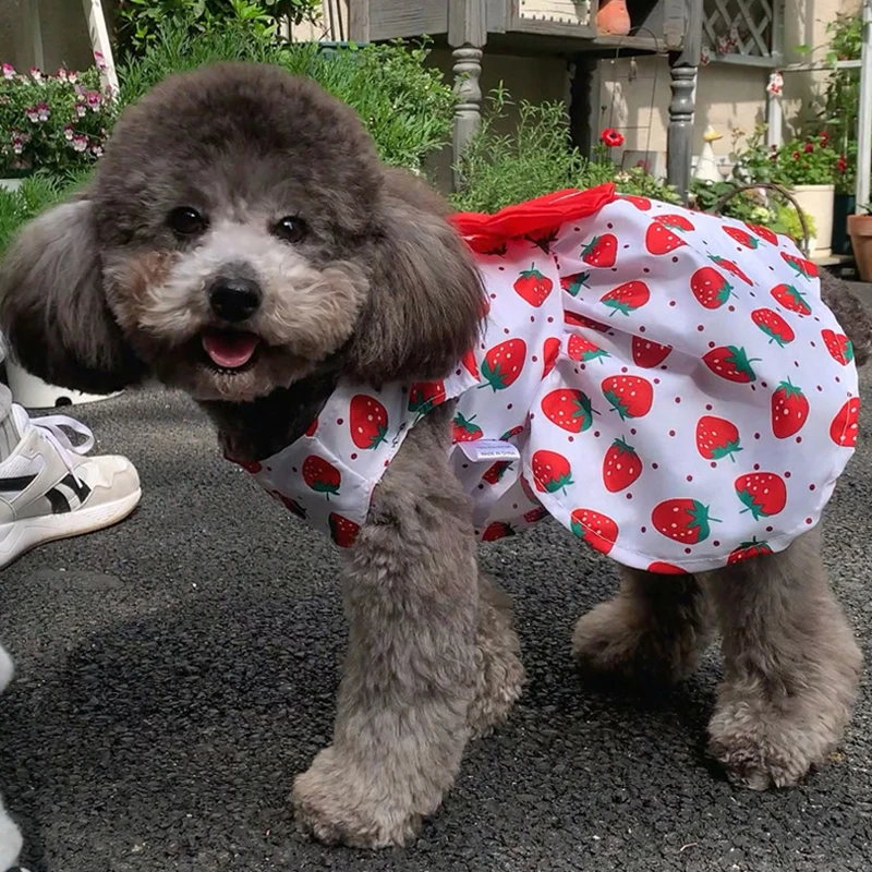 Vestido de princesa con flores para perro pequeño, ropa de peluche para gatito, falda fina de verano para cachorro, suministros para mascotas, novedad - imagen 3