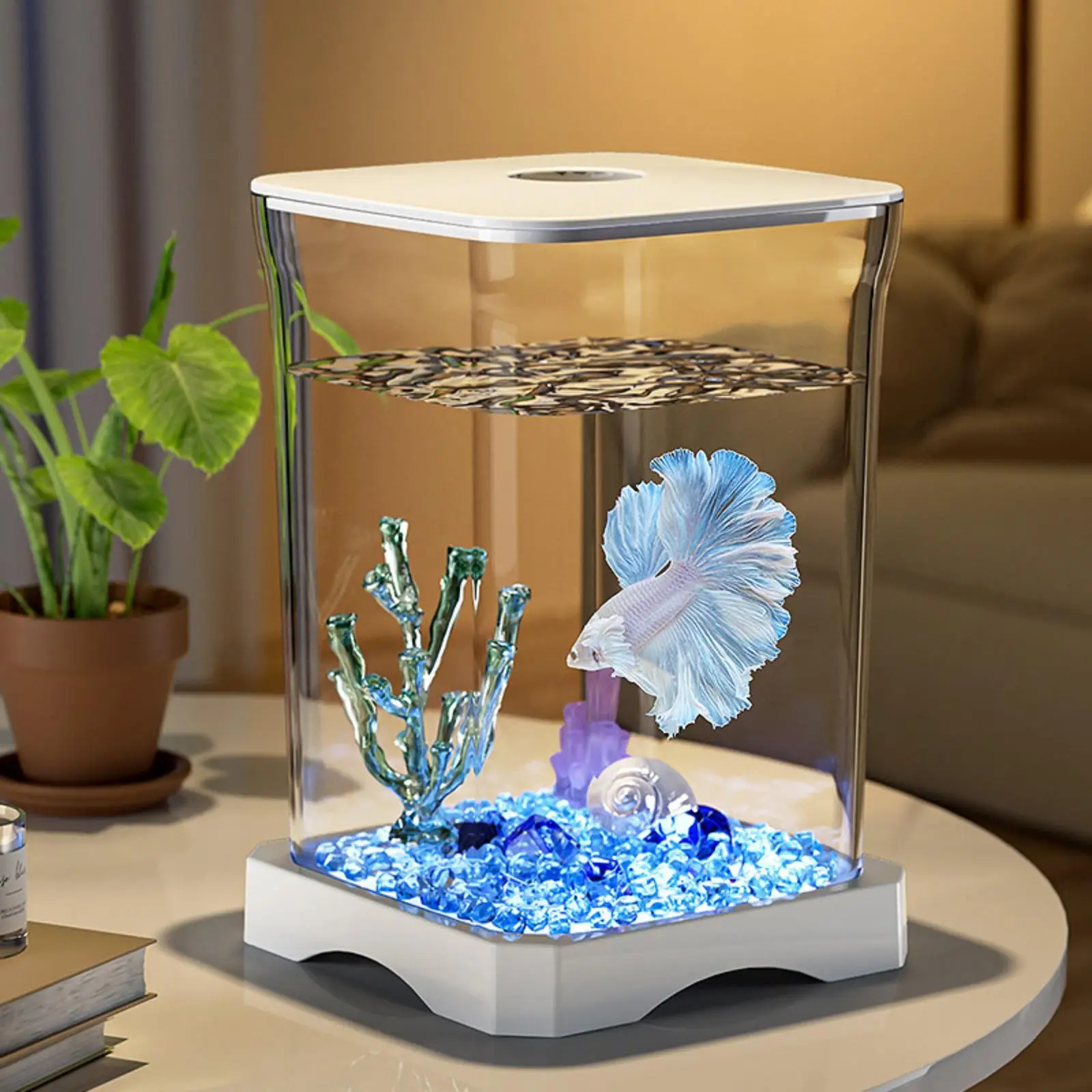 Betta Fish Tank Sturdy Amphibian Feeding Box Multiuse Reptile Terrarium Tank for Tabletop Home Living Room Hermit Crabs Lizards
