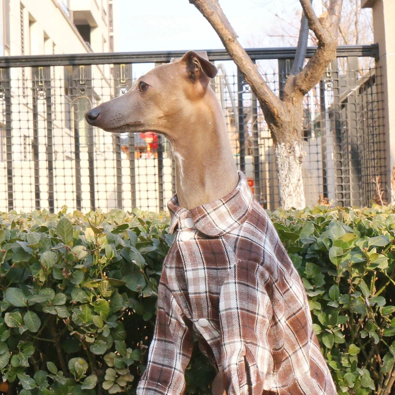 Camisa a cuadros para perros y mascotas, ropa de rejilla para perros grandes, ropa de algodón para primavera, ropa para cachorros pequeños y grandes, productos de disfraces para mascotas al aire libre a la moda - imagen 4