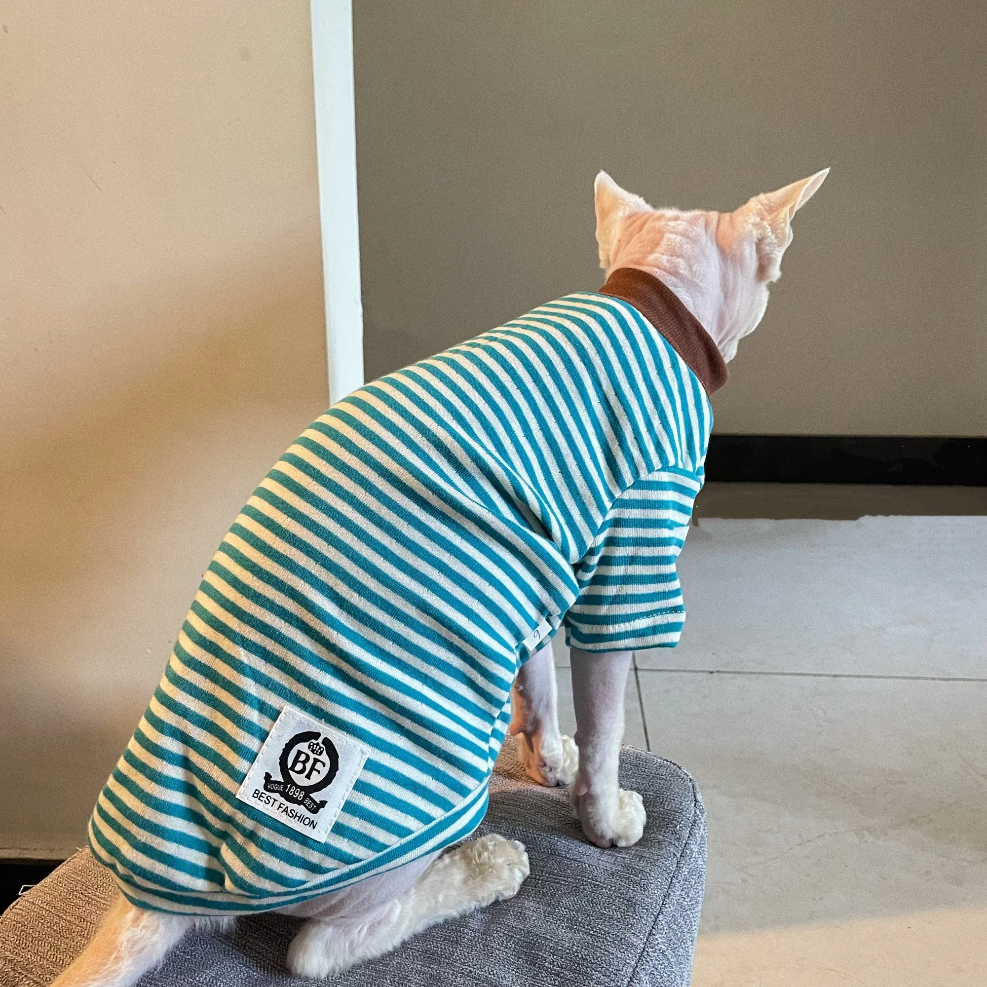 Camiseta algodón rayada azul gato Sphynx Devon Rex pijama de invierno - imagen 2