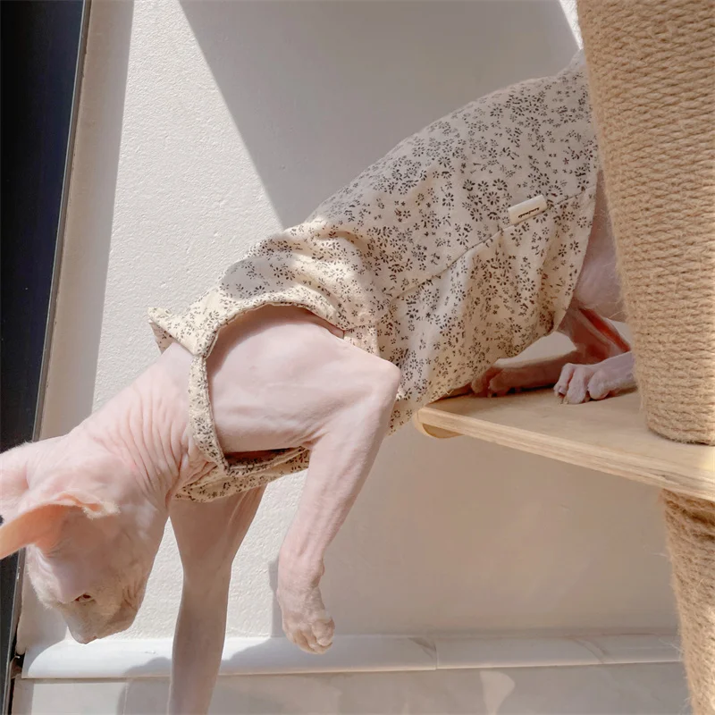 Vestidos de verano retro beige para gato Falda de algodón floral de encaje de verano para Sphynx Cat Camiseta suave para gatitos Abrigo de primavera para Devon Rex - imagen 5