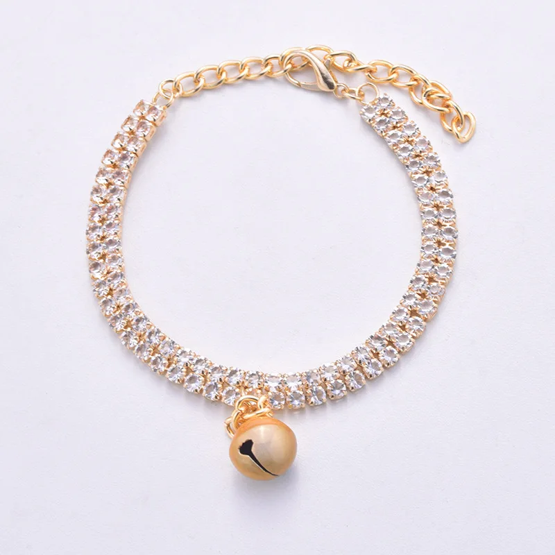 Collar en entorno urbano con correa