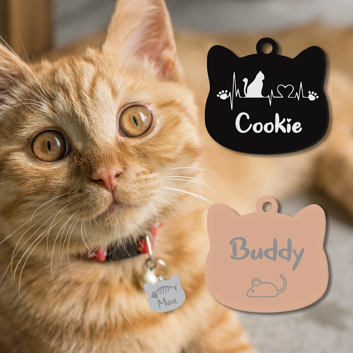  Etiqueta de nombre de gato de acero inoxidable, identificación personalizada, colgante bonito para mascota, llavero grabado, accesorios, placa de identificación personalizada - imagen 4