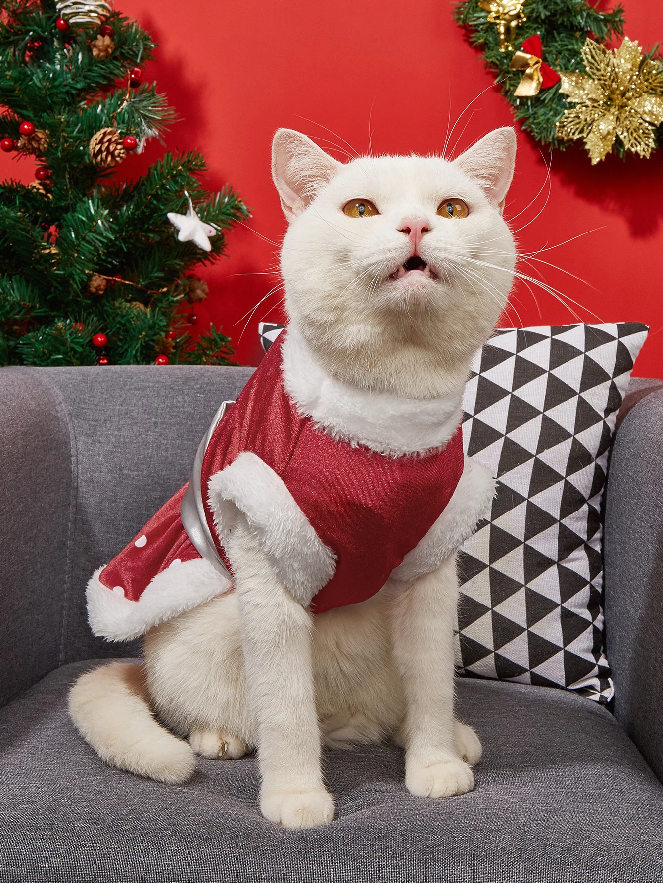 Vestidos de Navidad para perros pequeños, disfraz de lunares para cachorros con lazo, ropa cálida de felpa para mascotas, ropa suave - imagen 2