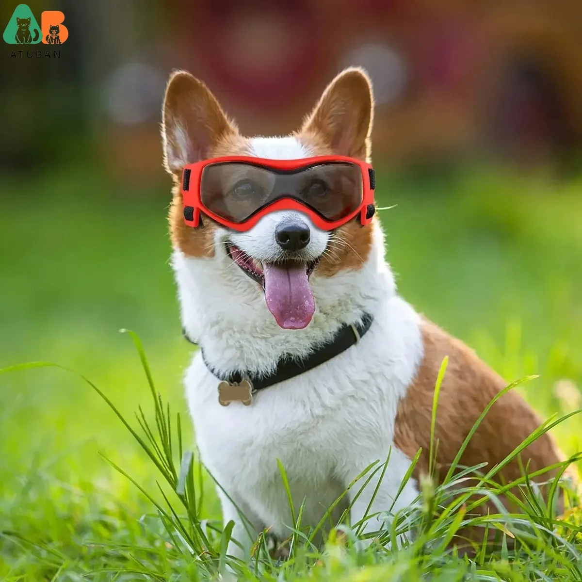 ATUBAN Gafas para perros Protección UV para perros de razas pequeñas a medianas, Gafas de sol para cachorros A prueba de viento A prueba de niebla A prueba de polvo A prueba de nieve - imagen 5
