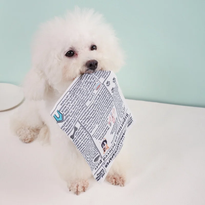 Suministros para mascotas, juguetes, peces simulados, gatos que pueden hacer sonidos, resistentes a los picaduras, juguetes para gatos, juguetes para perros - imagen 3