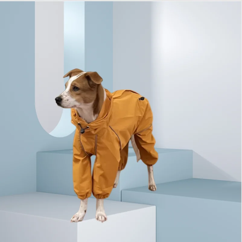 Chubasquero impermeable para perros galgo italiano y Whippet - imagen 3