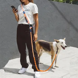 Correa manos libres para perros - Reflectante, ajustable y doble