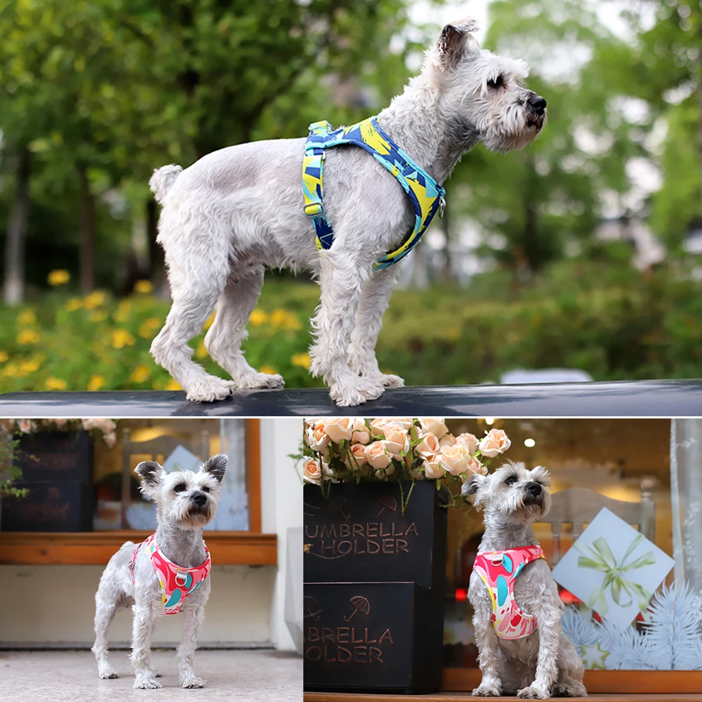 Arnés de pana verde personalizado para perros pequeños y grandes, conjunto de Collar y correa para perros, suave y ajustable, regalo para cachorros - imagen 5