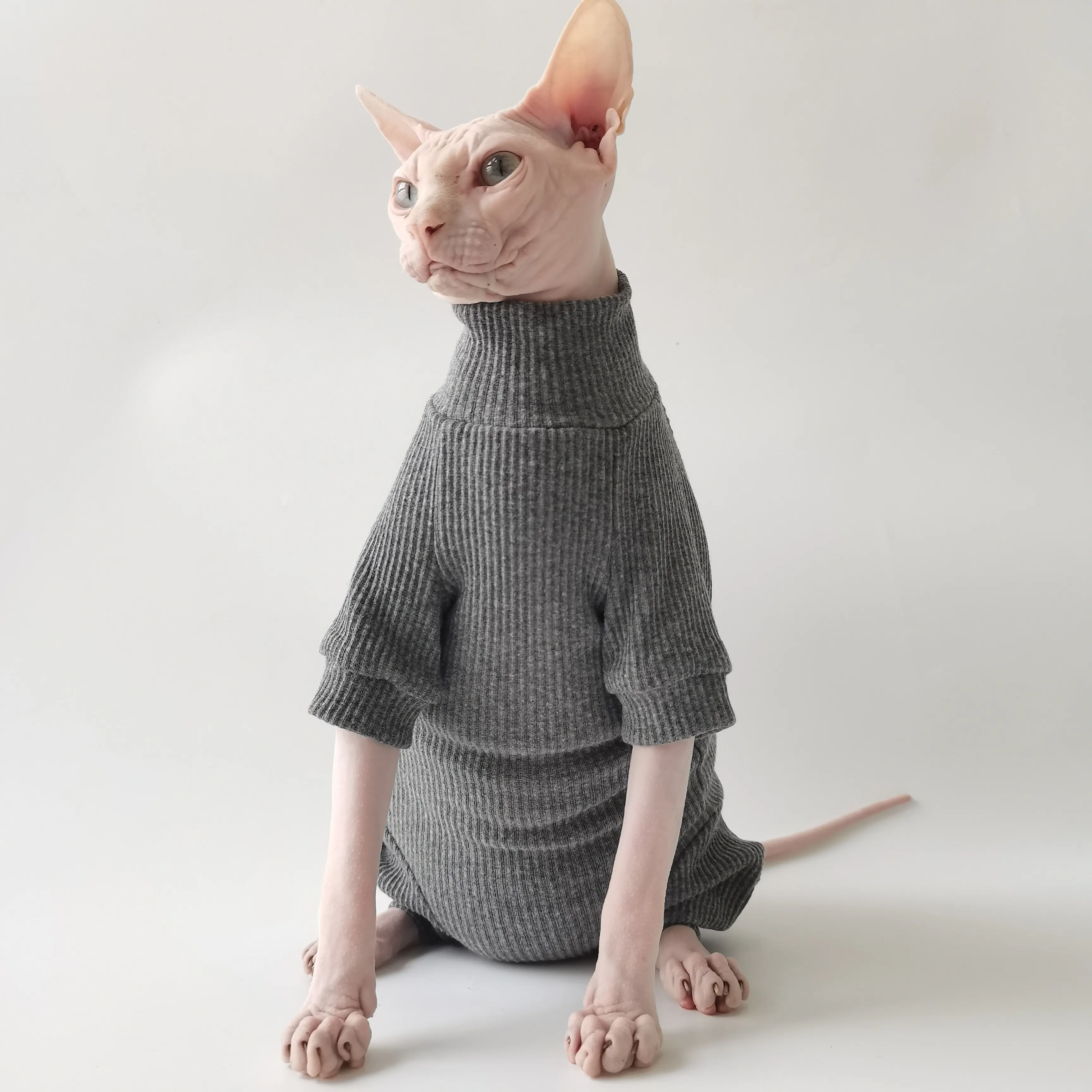 Abrigo de algodón para gatos Sphynx otoño-invierno, pijama manga larga - imagen 2