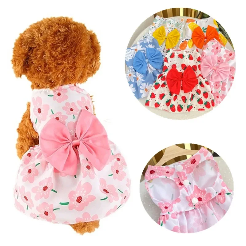 Vestido de princesa para perro y Chihuahua, falda de gatito, lazo de encaje para perros pequeños y medianos, primavera y verano - imagen 2