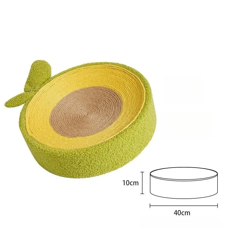 Kiwi fruit