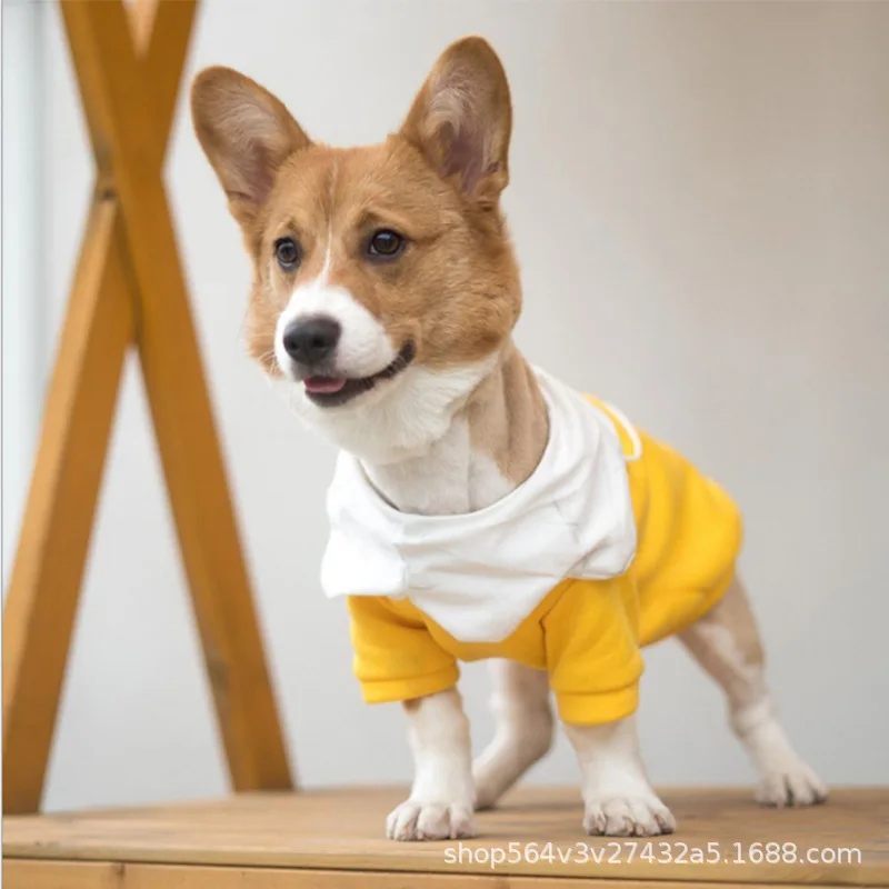 Ropa para perros Otoño e Invierno Perro PEQUEÑO Teddy Pomerania Schnauzer Corgi Lindo suéter amarillo Productos para mascotas - imagen 2