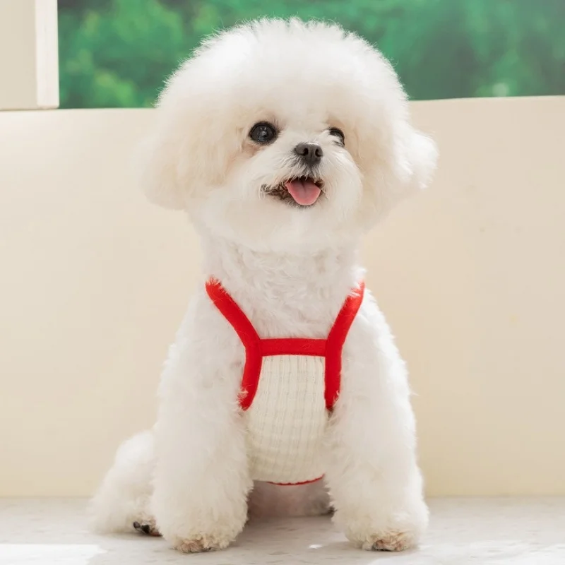 Chaleco verano suave para perro Bichón – Camiseta manga corta - imagen 3