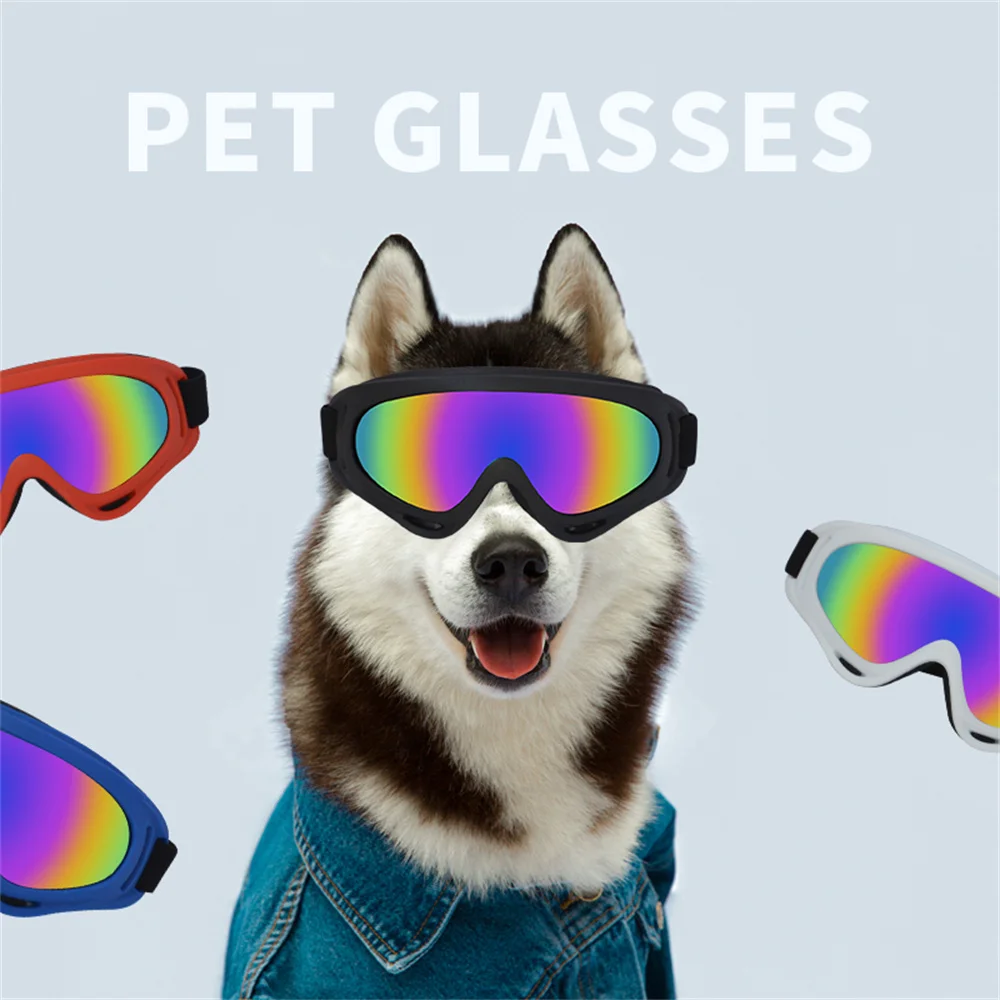 Gafas de sol para perro Bulldog francés, lentes ajustables para conducción al aire libre, accesorios para mascotas - imagen 4