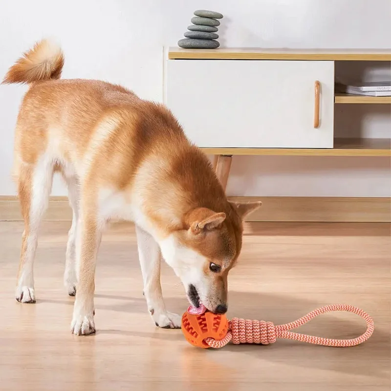 Pelota de juguete para perros con cuerda, bolas interactivas con fugas para perros pequeños y medianos, resistente a mordeduras, limpieza dental para mascotas - imagen 4