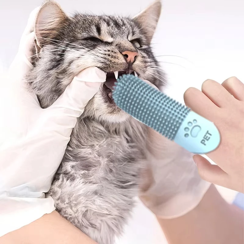 3 unids/set cepillo de dientes para dedos de mascotas herramienta de limpieza de dientes de perro de silicona suave cepillo de limpieza de dientes de mascotas para gatos perros accesorios para perros - imagen 2