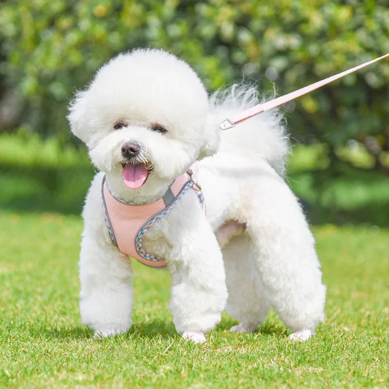 Juego de arnés y correa para perros Pincher para caminar al aire libre, para perros pequeños y medianos, chaleco para mascotas, arneses, accesorios Pomerianos - imagen 4