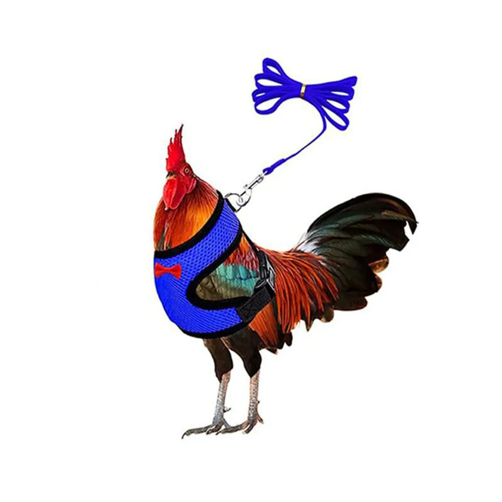 Chaleco para mascotas cinturón transpirable pollo pato moda malla mascota con pecho espalda conjunto mascota más tracción pollo pato ganso entrenamiento caminar - imagen 2