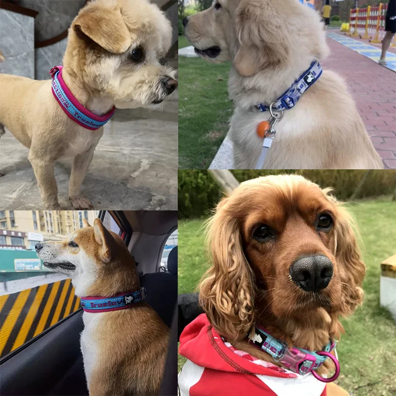 Winhyepet-Collar de perro ajustable con hebilla, collar genuino para caminar táctico al aire libre, perros pequeños, medianos, grandes, Pitbull, perro pastor - imagen 2