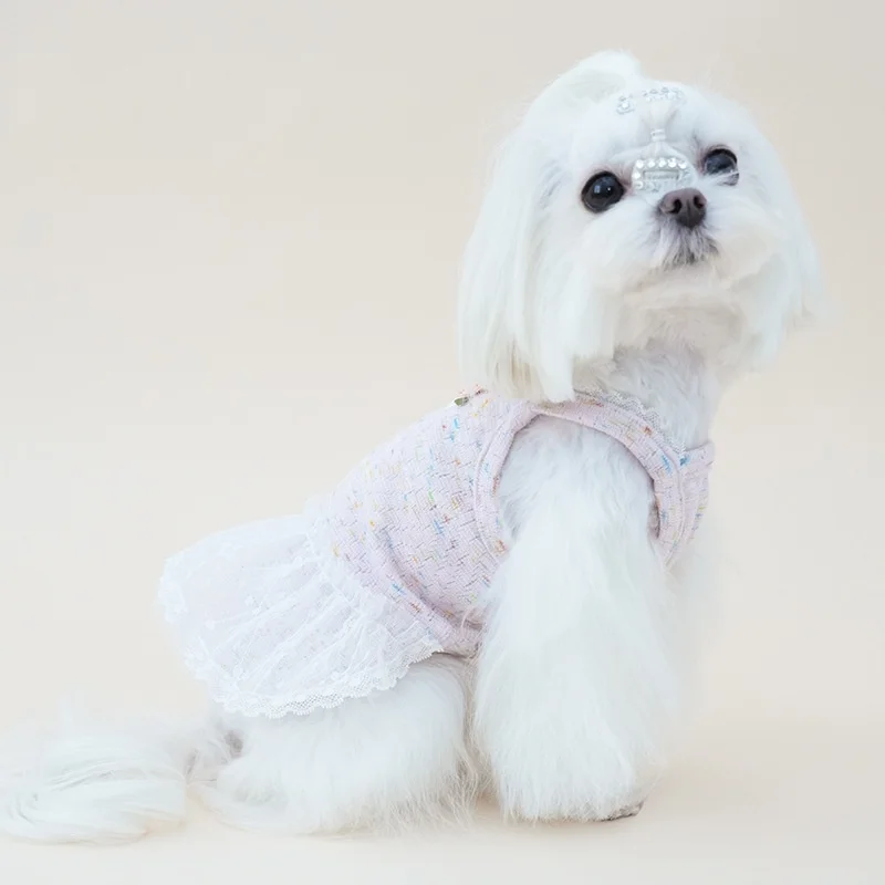 Vestido tutú con encaje para perros Maltese, Chihuahua y Yorkie - imagen 2