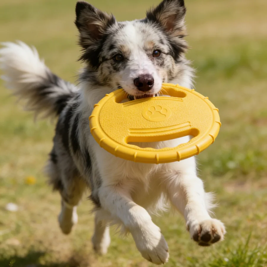 Discos voladores para perros resistentes e interactivos para jugar