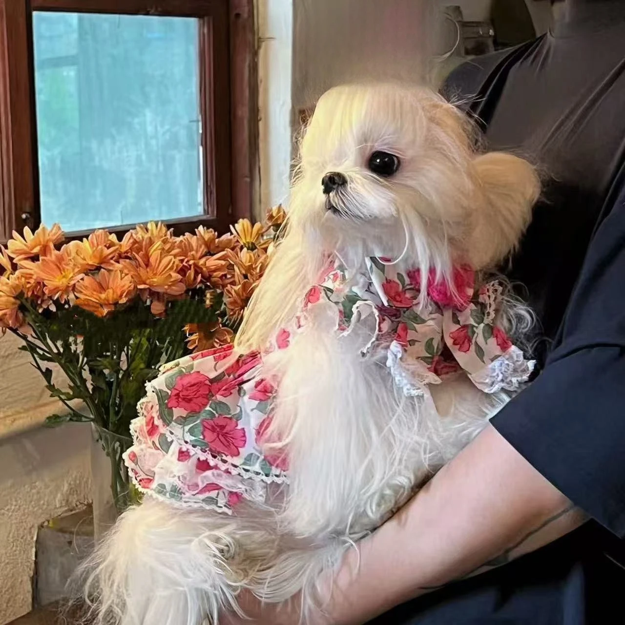 Vestido de princesa rosa para perro, camiseta sin mangas con múltiples pliegues, ropa para perro, gato, perro, Yorkshire, ropa de peluche para perros pequeños - imagen 2