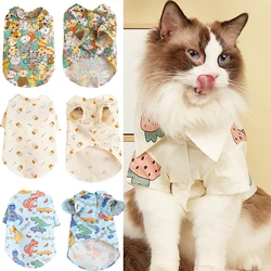 Camiseta verano para gato persa – Transpirable y divertida