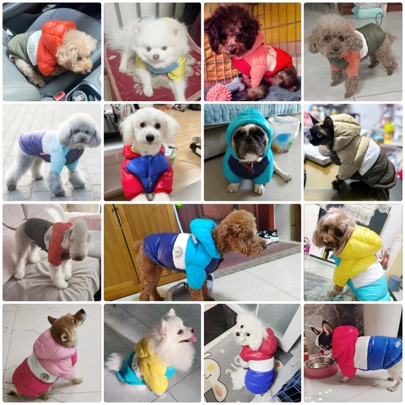 Hiver rembourré chien doudoune chaud doux chien vêtements mode chiot veste mignon solide chat manteau tenues pour animaux de compagnie bouledogue français vêtements - imagen 2