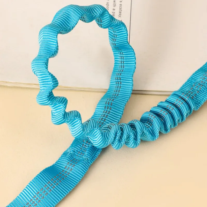 Correa de nailon reflectante para perro, correa elástica retráctil para caminar, suministros para mascotas, doble mango - imagen 5