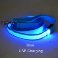 blue USBCharging