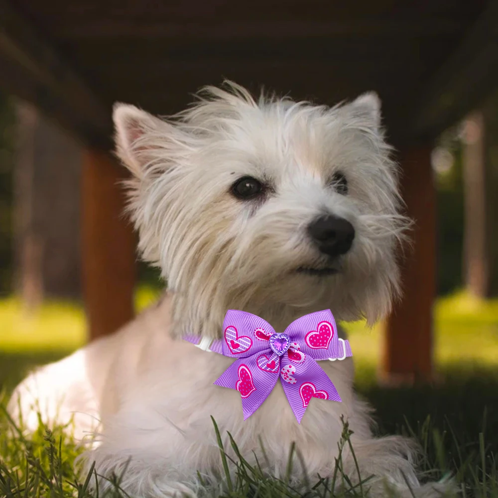 Pajarita para perro pequeño – Accesorio Día de San Valentín - imagen 5