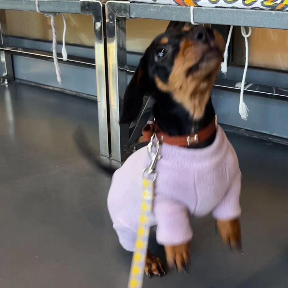 Suéter cálido de manga larga de 4 patas para perro salchicha en miniatura, abrigo de lana gruesa de invierno para perros Wiener, pijamas dulces para perro femenino - imagen 5