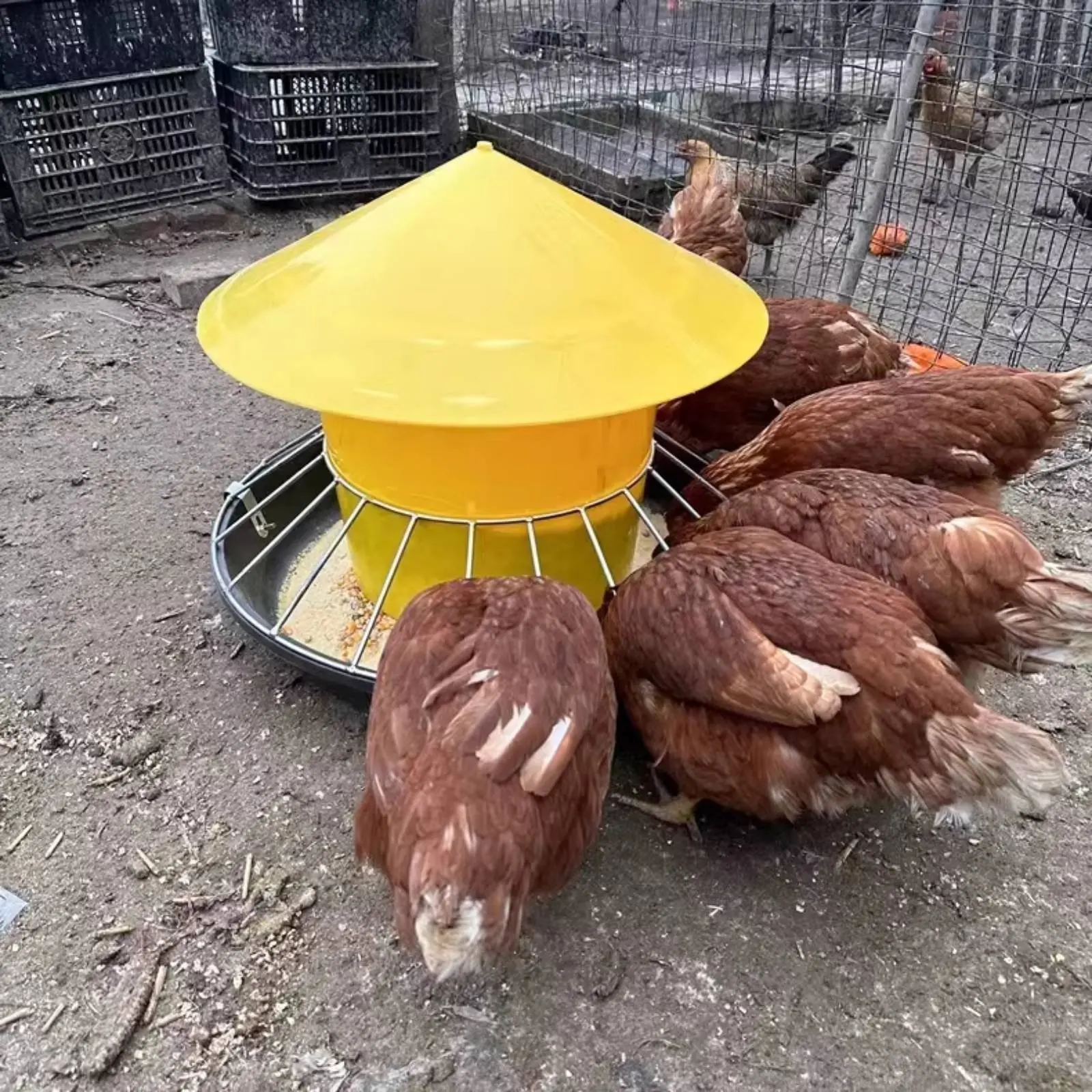 Comedero anti-perchas para gallinas y pollos, gran capacidad - imagen 5