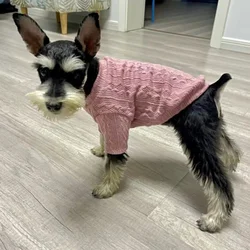 Sueter de punto de manga larga para gatos y perros - otono-invierno