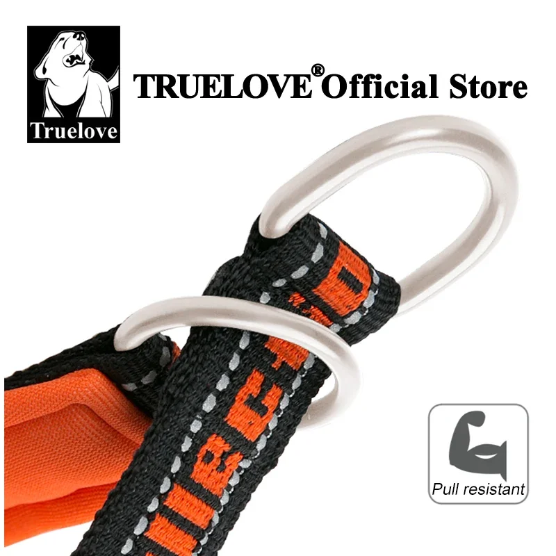 Truelove-Collar de nailon con cadena P para mascota, ajustable, reflectante, SBR, neopreno resistente a tirones, a prueba de explosiones, para viajes de perros y gatos, TLC5371 - imagen 4