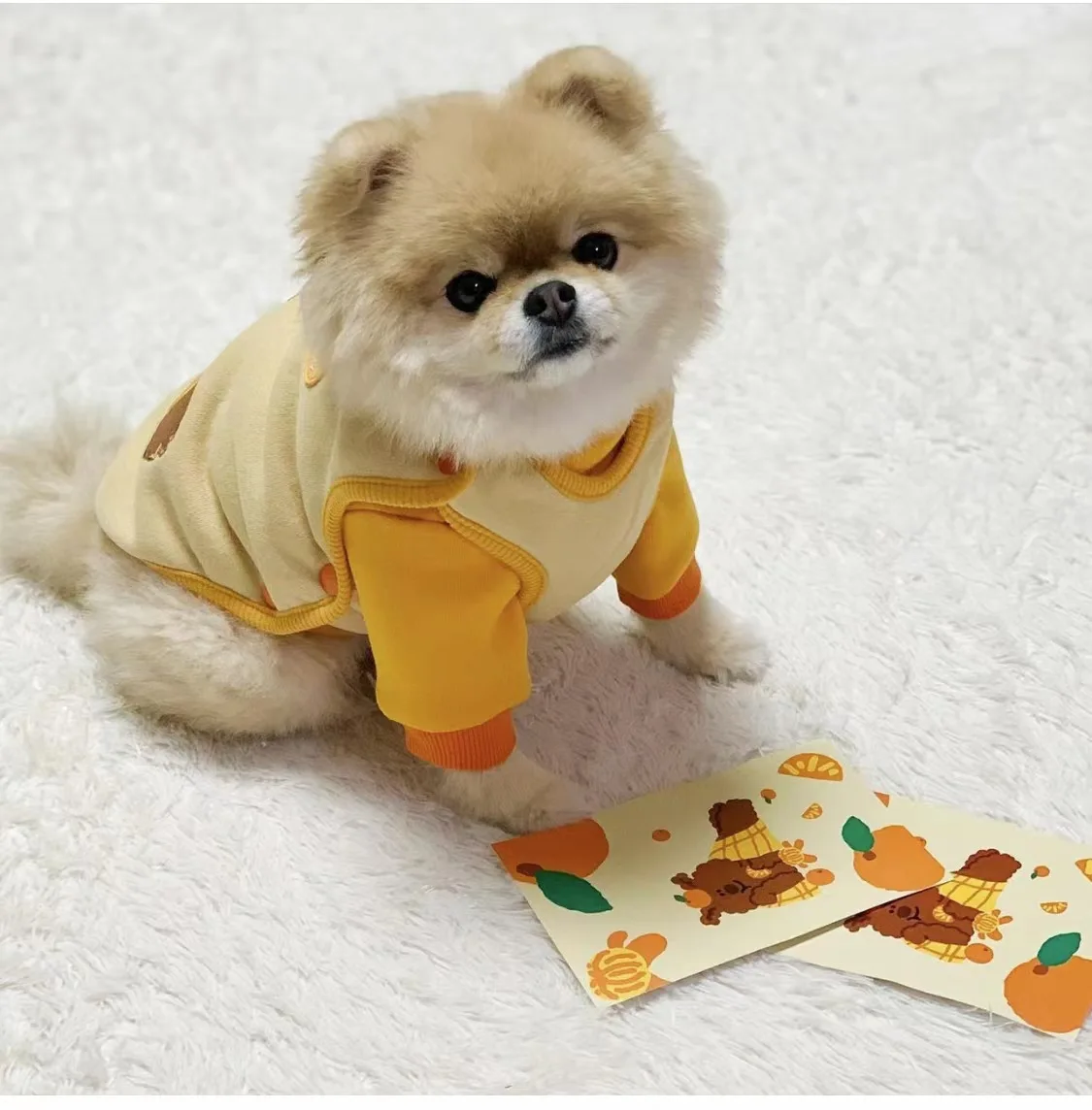 Chaleco de felpa para mascotas, chaqueta cálida de invierno, chaqueta suave y pegajosa de una pieza, ropa bordada bonita, ropa para cachorros, chaleco para perros, disfraz para perros - imagen 4