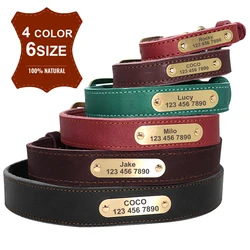 Conjunto collar y correa de cuero para perros medianos y grandes – Bulldog Francés