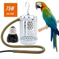 cage 75W lamp