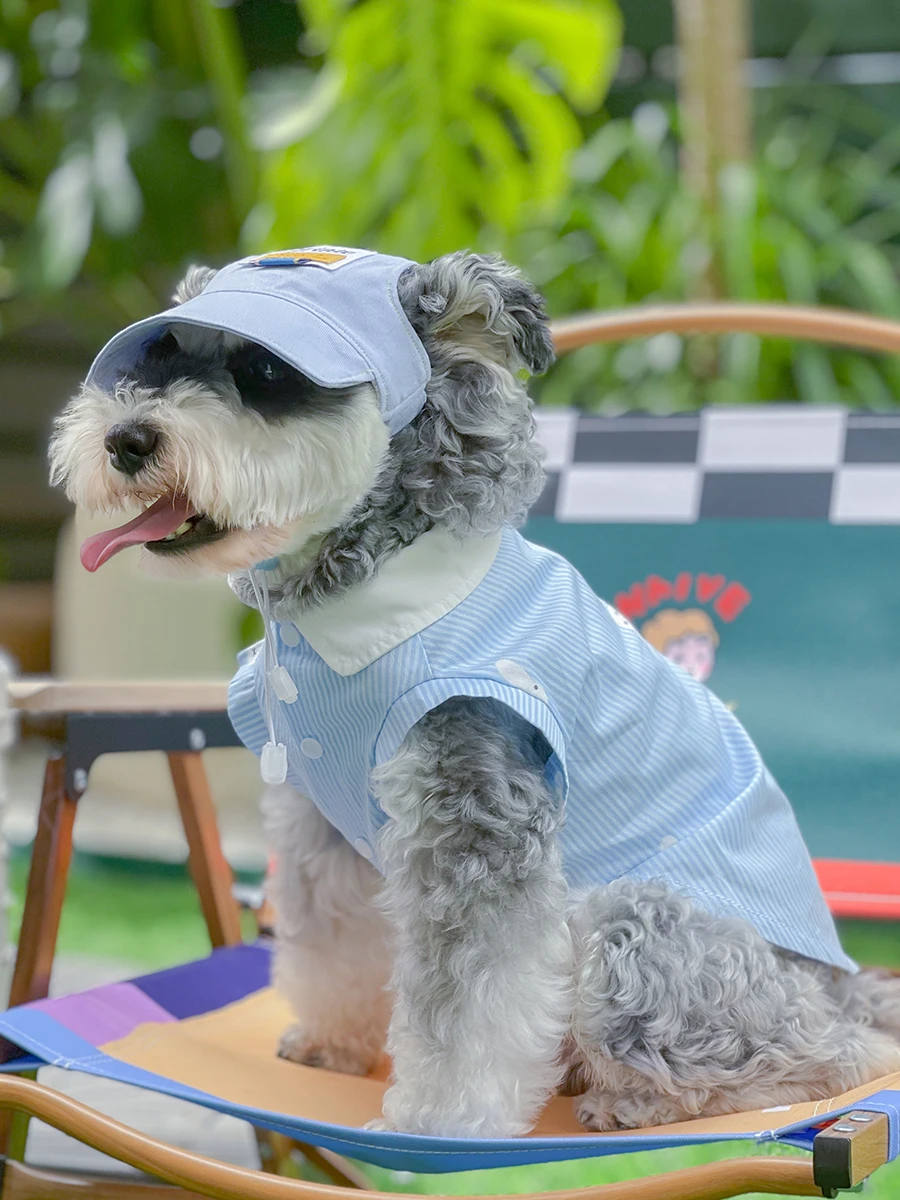 Camiseta azul de verano con sombrero para Schnauzer, ropa transpirable a la moda para perros pequeños, medianos y grandes, Pomerami Bichon - imagen 5