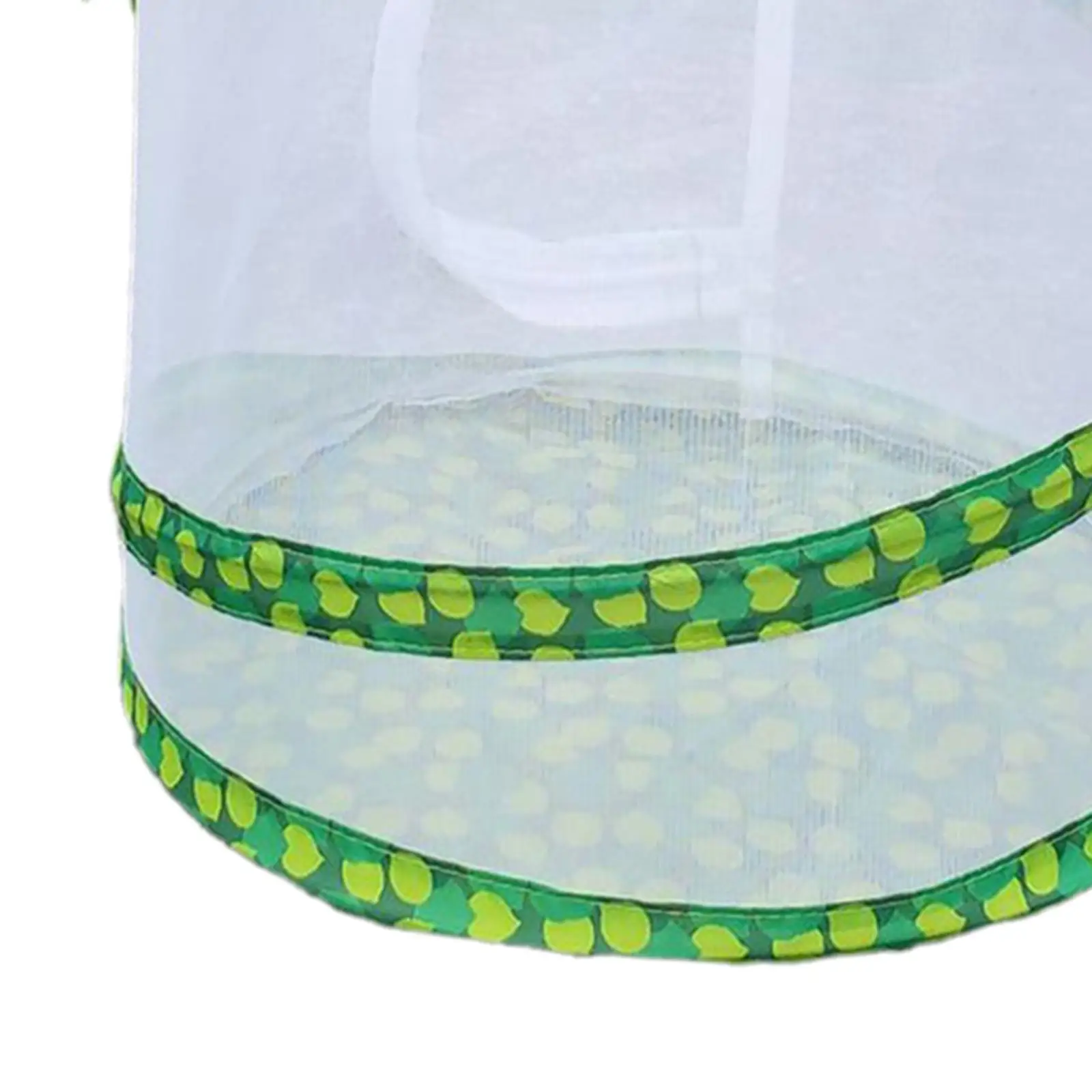 Insect and Butterfly Habitat Cage, up Design, for Nature Observation, Butterflies and Insects Raising Insect and Butterfly Habitat Cage, up Design, for Nature Observation, Butterflies and Insects Raising