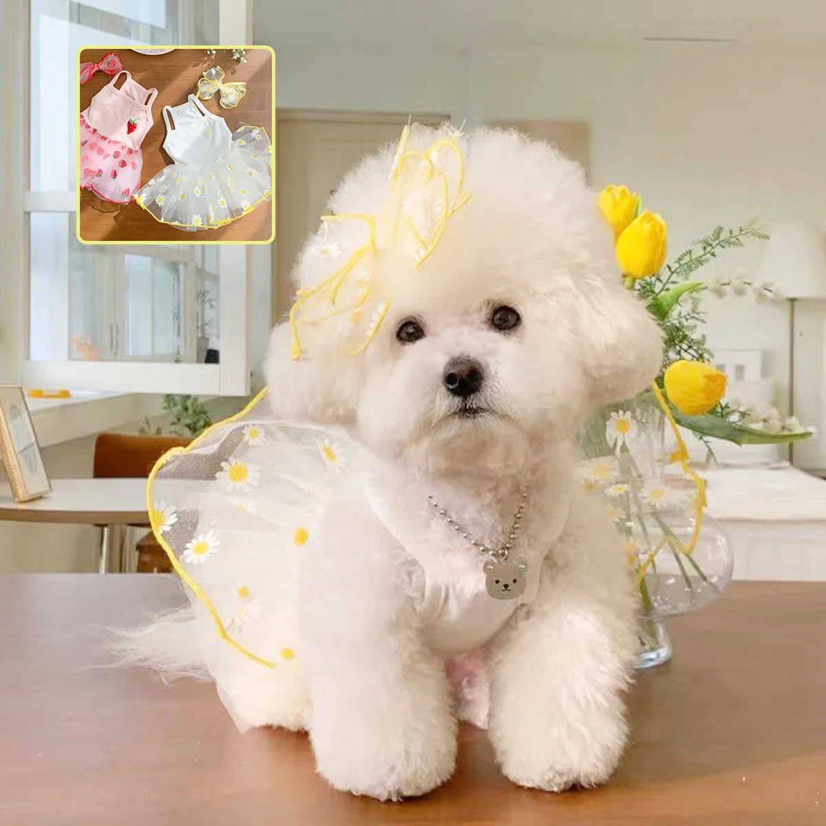 Falda fina de princesa para cachorros, ropa para perros, bonito vestido para perros pequeños, ropa para Chihuahua York, suministros para mascotas - imagen 2