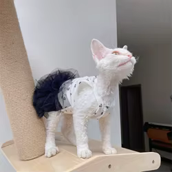 Vestido transpirable para gatos Sphynx, Devon Rex y perros