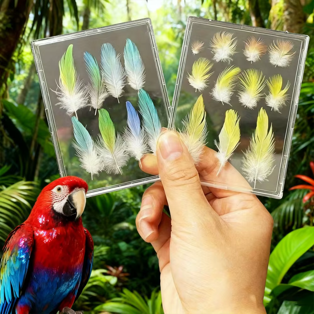 Marco recuerdo con vitrina de plumas de ave – para gatos y perros - imagen 2