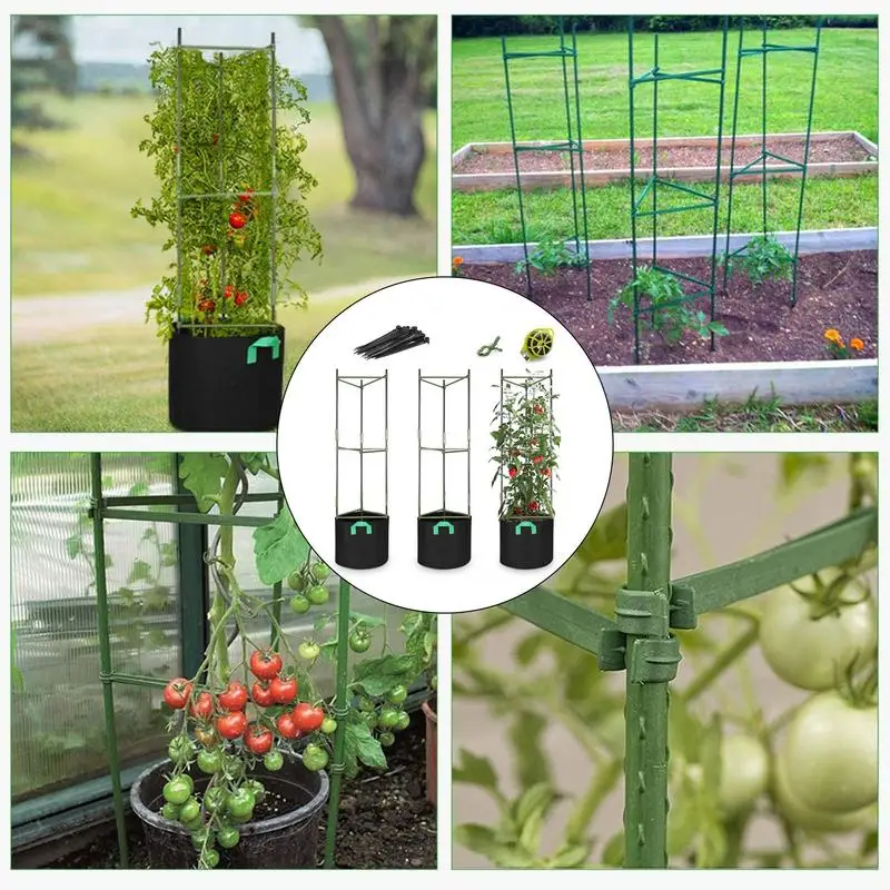 Enredadera para plantas trepadoras, marco de soporte para plantas, enrejado de verduras, jaula de soporte para plantas trepadoras verticales, soporte para enrejados - imagen 3