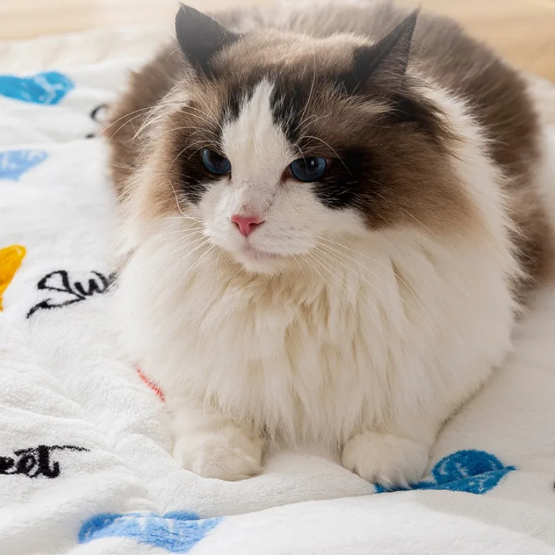 Esteras de cama cálidas de lana Coral para mascotas, almohadillas para dormir con estampado bonito para gatos, manta de nido suave para perros, cojín para gatitos para el hogar, suministros para cachorros - imagen 5