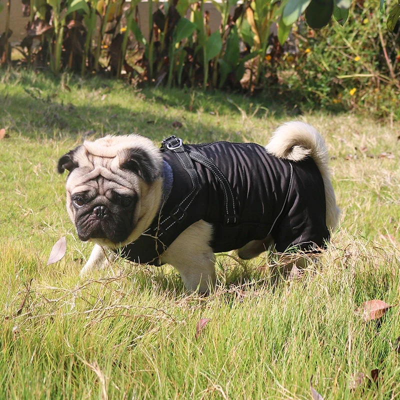 Ropa impermeable para perros con arnés para perros medianos y grandes, Collar de piel cálido para invierno, chaqueta para perros, disfraz reflectante de Bulldog Francés - imagen 3