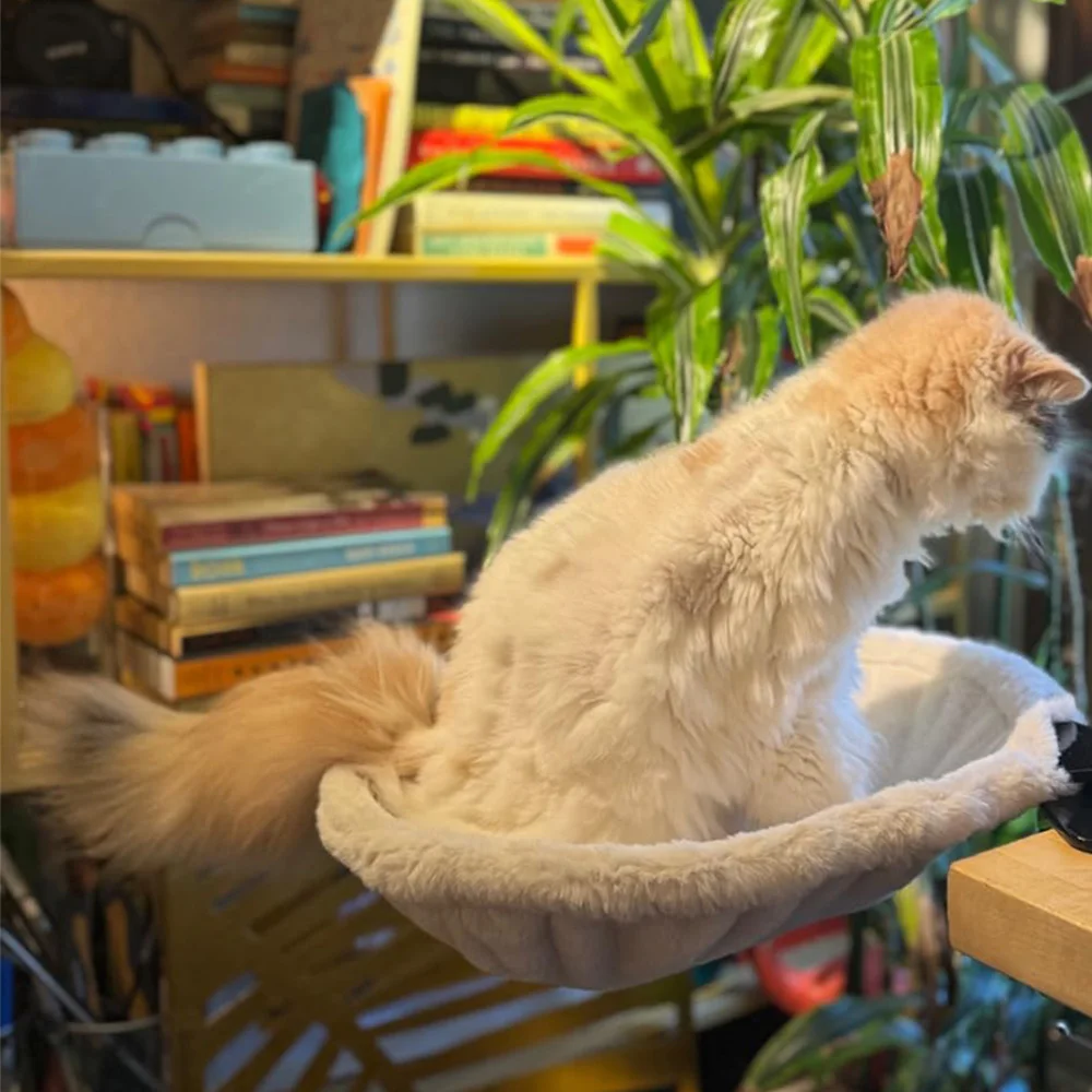 Hamaca para gatos montada en la pared, malla transpirable y cojines de felpa, opciones, cama colgante resistente para gatos para dormir y descansar en interiores