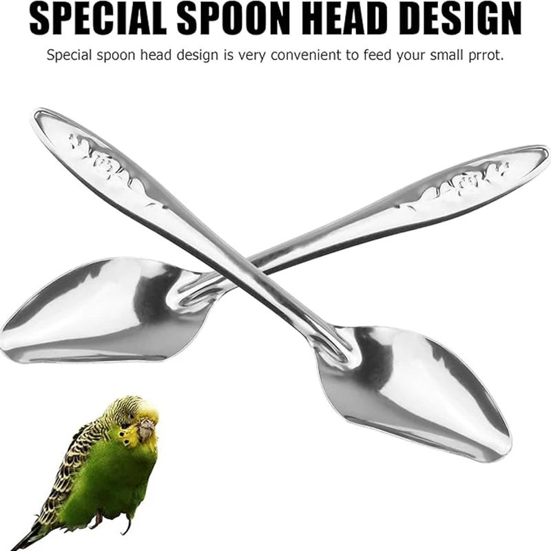 Cuchara de alimentación de Metal de acero inoxidable para loros, comedero para pájaros, cucharas de alimentación manual, 5 uds. - imagen 5